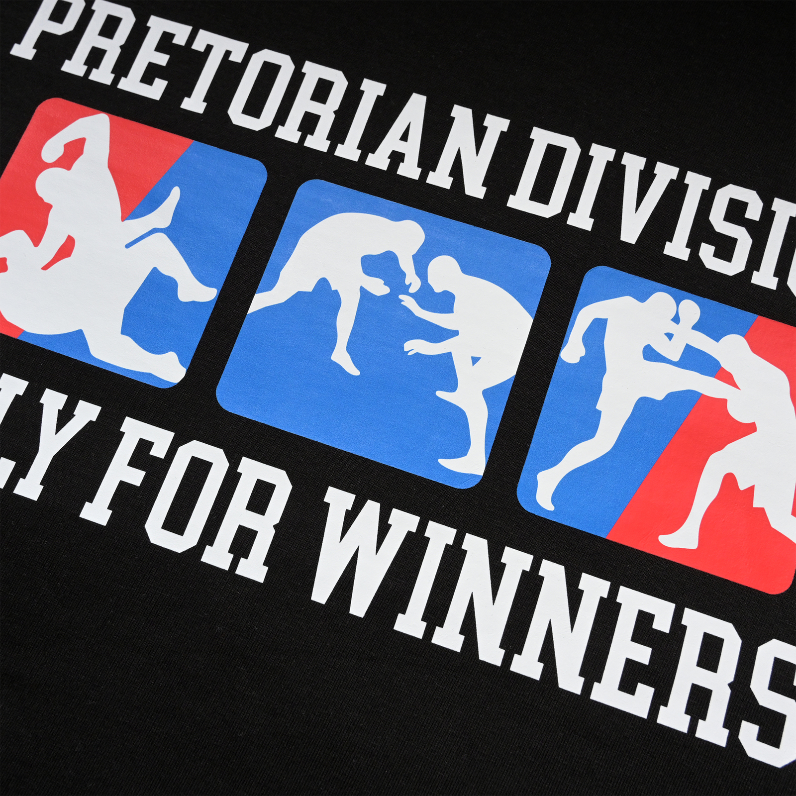 Bluza z kapturem Pretorian "Mixed Martial Arts"