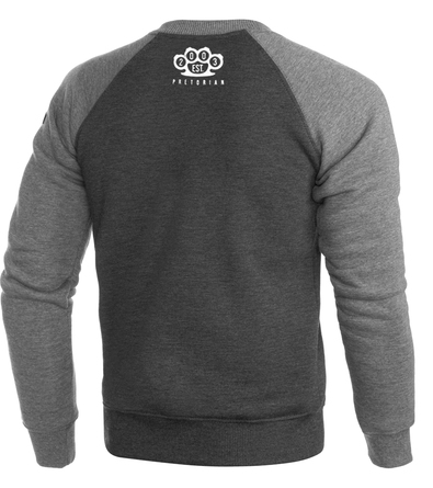 Raglan sweatshirt Pretorian Public Enemy - graphite