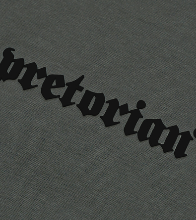 Koszulka Pretorian Ringer Logo 3D - khaki