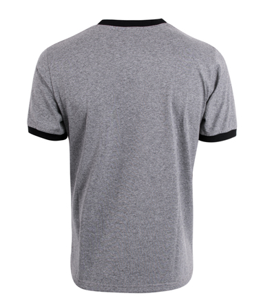 Panel T-shirt Pretorian Fight Division - grey