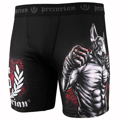 Vale Tudo Shorts Pretorian Knockout Maker