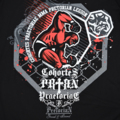 Hoodie Pretorian "Cohortes Praetoriae"