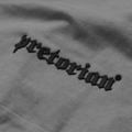 Spodenki bawełniane Pretorian "Logo" 3D - szare