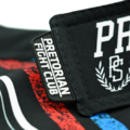 Spodenki MMA Lite Pretorian "Pretorian Division"