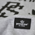 Raglan sweatshirt  Pretorian "Sport & Street" 