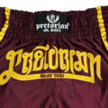 Muay Thai Shorts Pretorian "Elite" - burgund