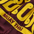 Muay Thai Shorts Pretorian "Elite" - burgund