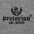 Cotton shorts Pretorian "Est. 2003" - Grey