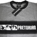 Panel T-shirt Pretorian "Fight Division" - grey