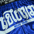 Muay Thai Shorts Pretorian "Elite" - blue
