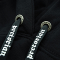 Hoodie Pretorian "King of Kings"