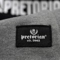 Hoodie Pretorian  "Fight Division" - grey