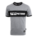 Panel T-shirt Pretorian "Fight Division" - grey