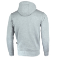 Hoodie Pretorian "Protect" - gray